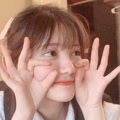暗黑黎明2安锋版下载